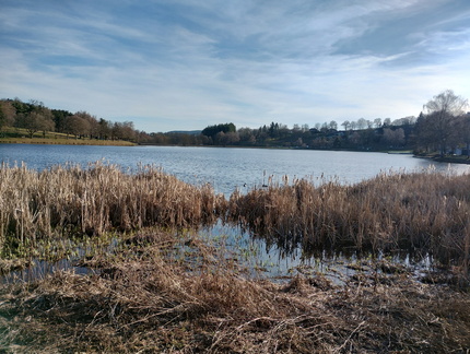 IMG 20260224 164359822 HDR