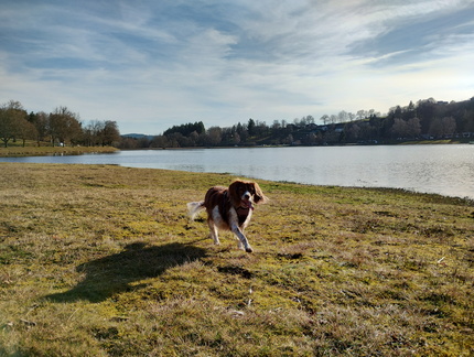 IMG 20260224 163428480 HDR