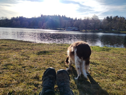 IMG 20260224 163916879