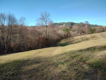 IMG 20260224 161927546 HDR