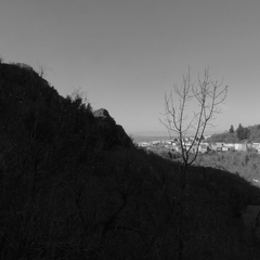 P1070645