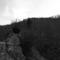 P1070623