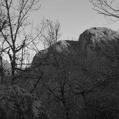 P1070621
