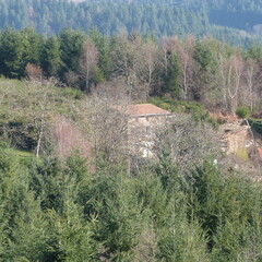 P1070842