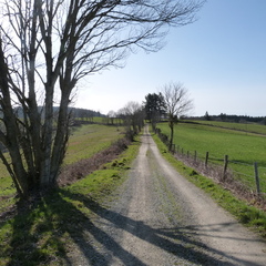 P1070838