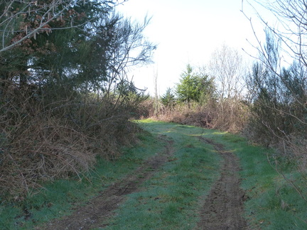 P1070807