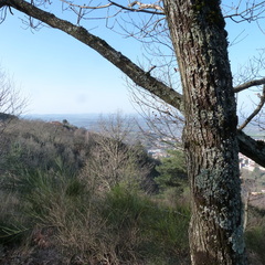 P1070784