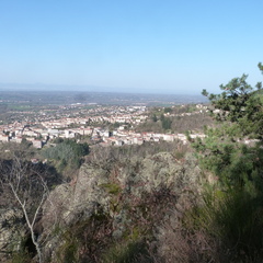 P1070779