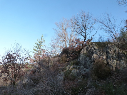 P1070772