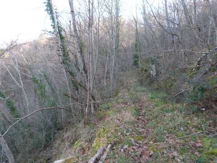 P1070764
