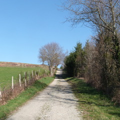 plateau de pont-haut
