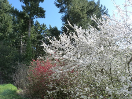 P1080216