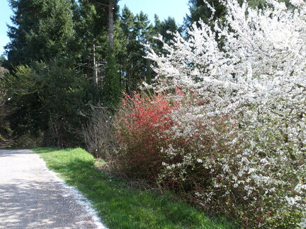 P1080215