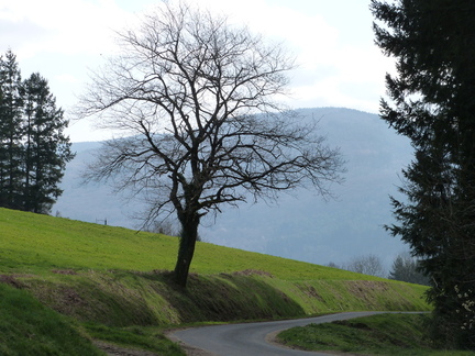 P1080190