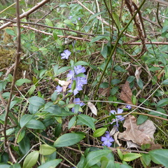 P1080168