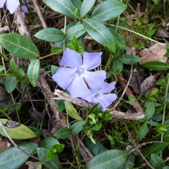 P1080167