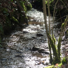P1080344