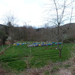 P1080291