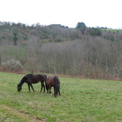 P1080290