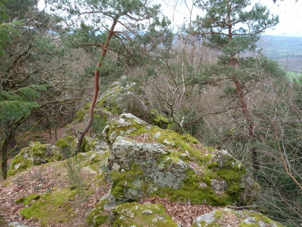 P1080277
