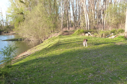 P1090426