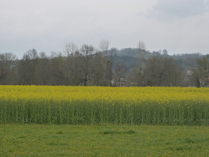 P1090677