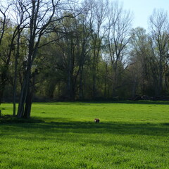 P1090778