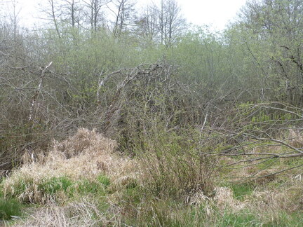 P1090702