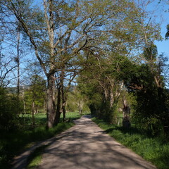 P1100112