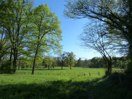 P1100086