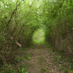 P1100169