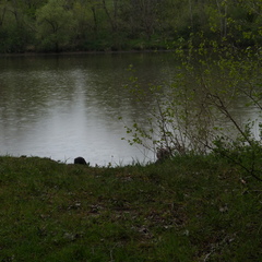 P1100159