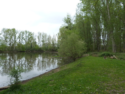 P1100156