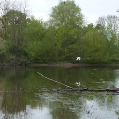 P1100151