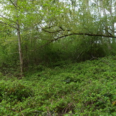 P1100141