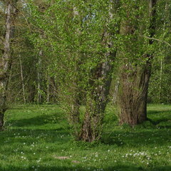 P1100124