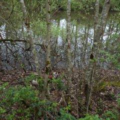 P1100215