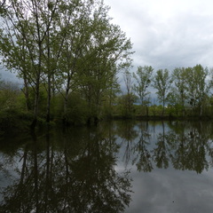 P1100200