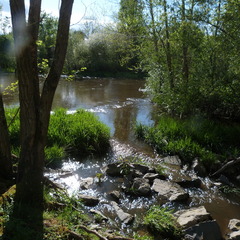 P1100247