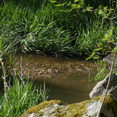 P1100244