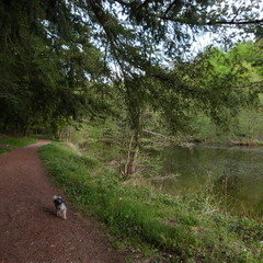 P1100499