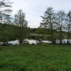 P1100498
