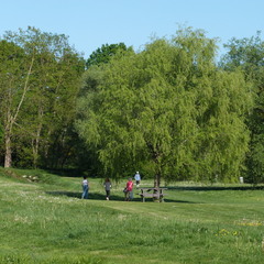 P1100943