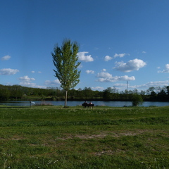P1100941