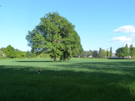 P1100936
