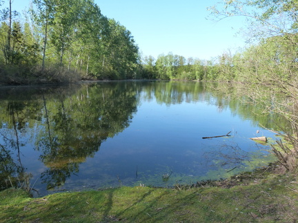 P1100931
