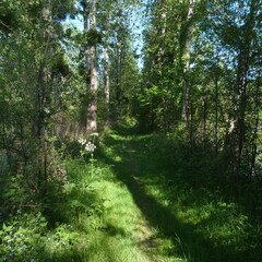 P1100911