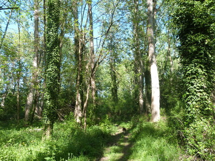 P1100898