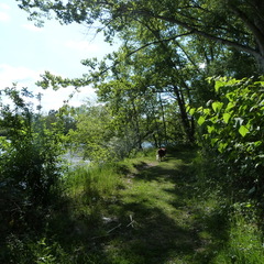 P1100884