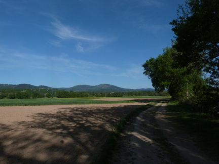 P1100968